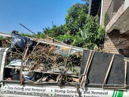 Best Furniture Removal  in Petaluma, CA